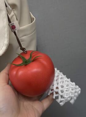西红柿柿柿如意仿真蔬菜土豆挂饰