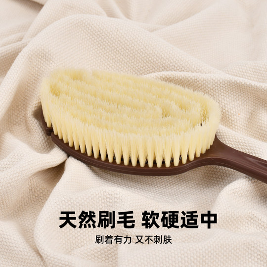 Guoqi coconut bristle shower brush for wet and dry use