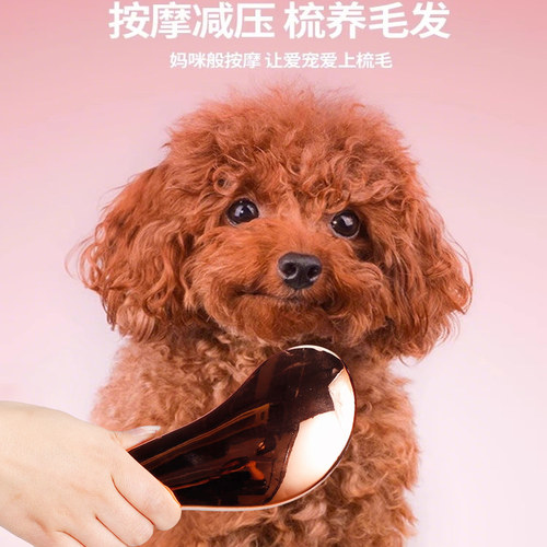 狗狗梳子泰迪梳毛专用宠物按摩梳拉毛蓬松神器小型犬比熊狗毛用品 - 图1