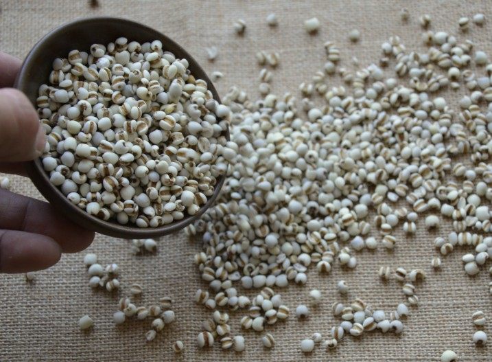 2023年新米黑龙江农家精选小薏米仁薏米天然薏仁米苡米仁500g_虎窝淘