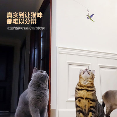 田田猫木柄弹簧3合1逗猫棒羽毛逗猫棒可换替换头耐咬逗猫器猫玩具_虎窝淘
