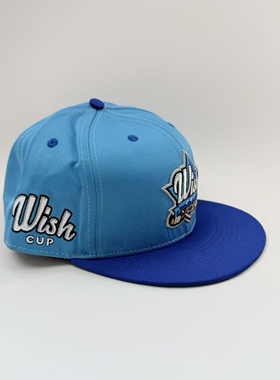 Wish Cup冰球赛事纪念平檐棒球帽 Title Wave硬顶Snapback运动球
