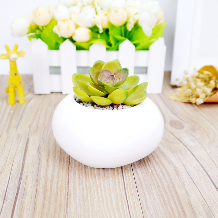 爆款时尚桌面欧式白瓷创意圆球形多肉陶瓷小花卉迷你可爱个性花盆-图2
