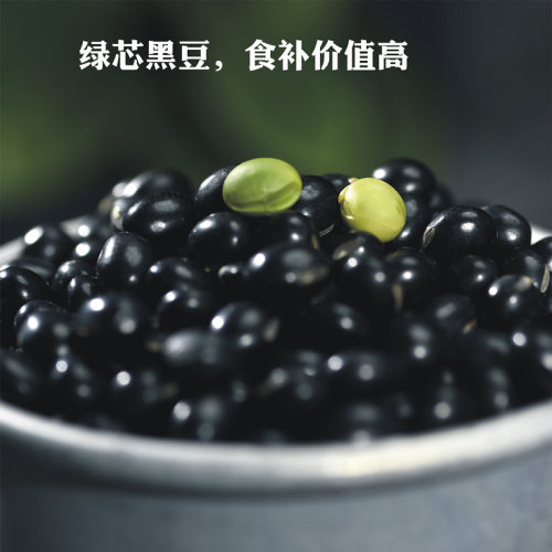 新货新豆广西农家自产自种绿心芯笨小黑豆粗粮打豆浆专用杂粮散装 - 图1