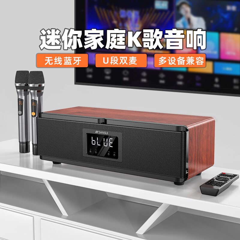 山水e60家庭影院ktv音响套装家用 sansui九洲龙腾KTV/卡拉OK音箱