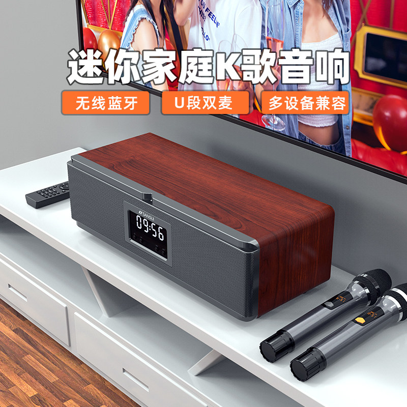 山水e60家庭影院ktv音响套装家用 sansui九洲龙腾KTV/卡拉OK音箱