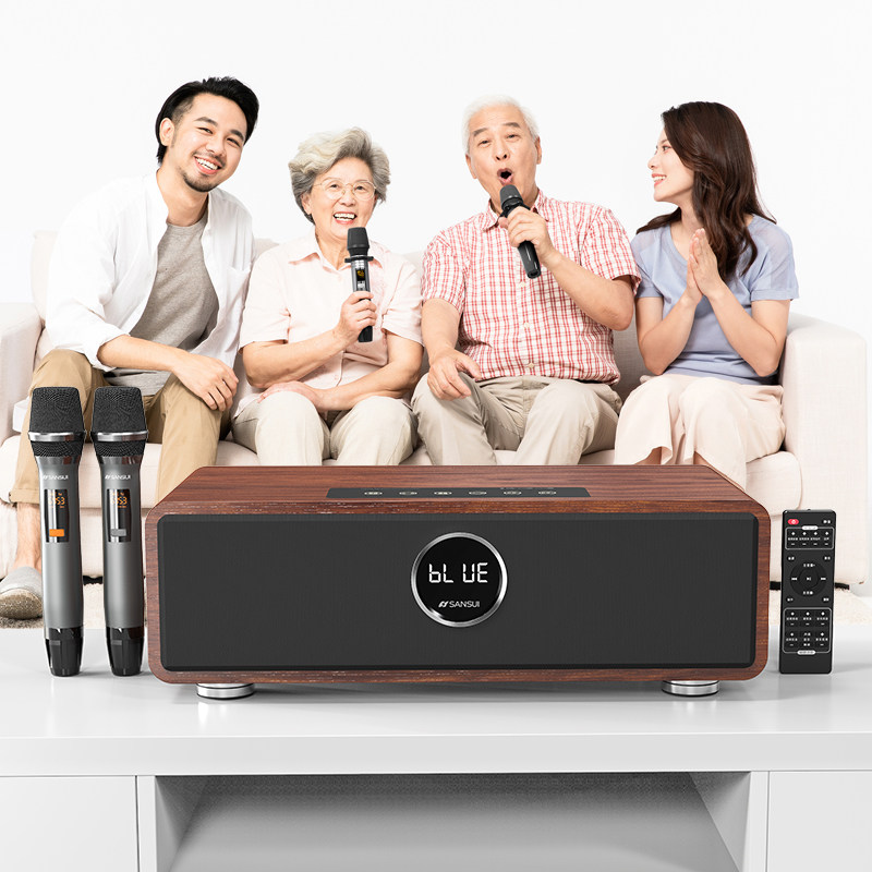 山水p600 ktv套装卡拉ok一体机功放 sansui九洲龙腾KTV/卡拉OK音箱