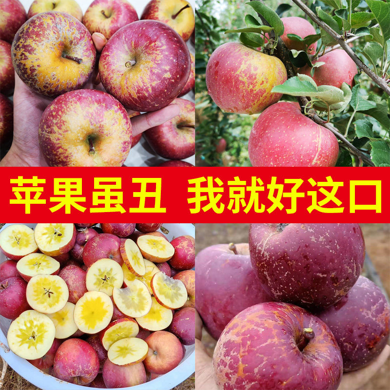 云南昭通丑苹果当季水果新鲜野生冰糖心应季整箱10斤非盐源大凉山
