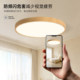 Natural log style lamps, ultra-thin bedroom lamp, ceiling lamp, minimalist round study, corridor, balcony, room eye protection lamp
