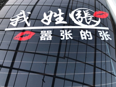 百家姓氏车贴个性我姓王却贴纸后档创意装饰文字搞笑趣味定制