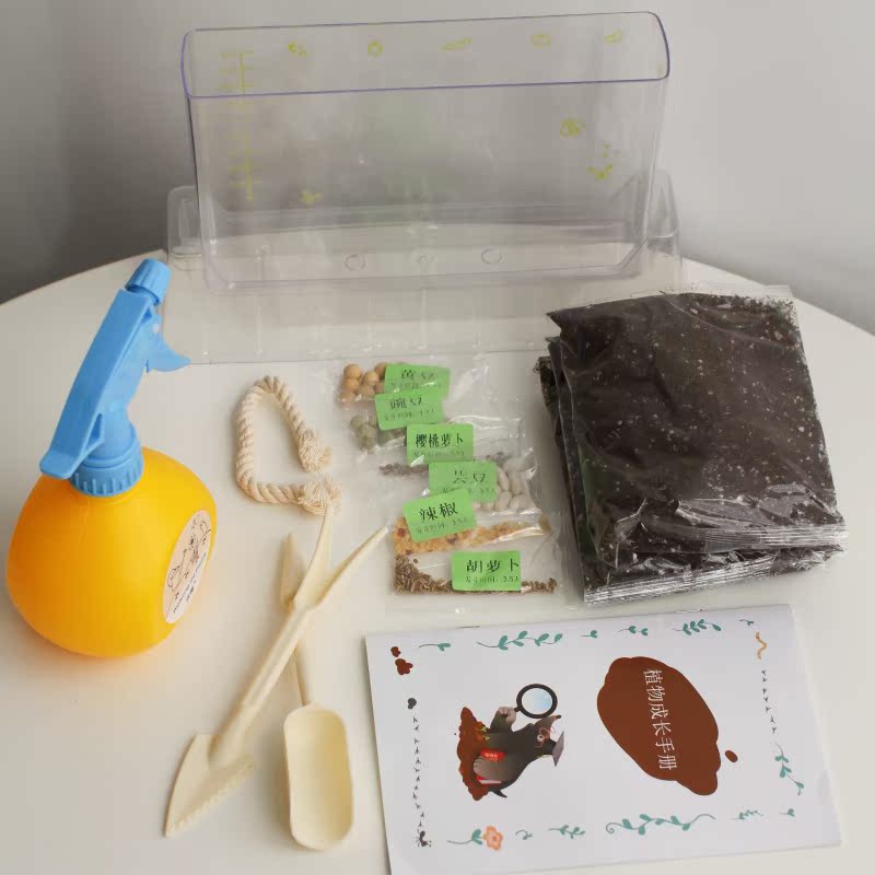 植物生长观察盒玩具幼儿园迷你盆栽儿童科学小实验套装种菜阳光房