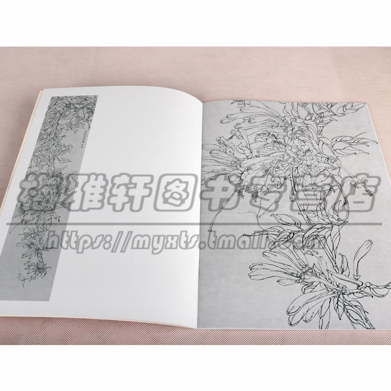 白描热带植物精选 3册 白描花卉植物工笔画书籍入门素材线描白描写生临摹画册基础画法入门步骤如何怎样花鸟画工笔白描画的书籍