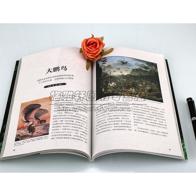 传说中的怪物与神兽[英]阿普里尔.马登著世界地理读物探索人类怪异世界故事传说古希腊神话怪兽历史图片集萤火虫中国画报出版社