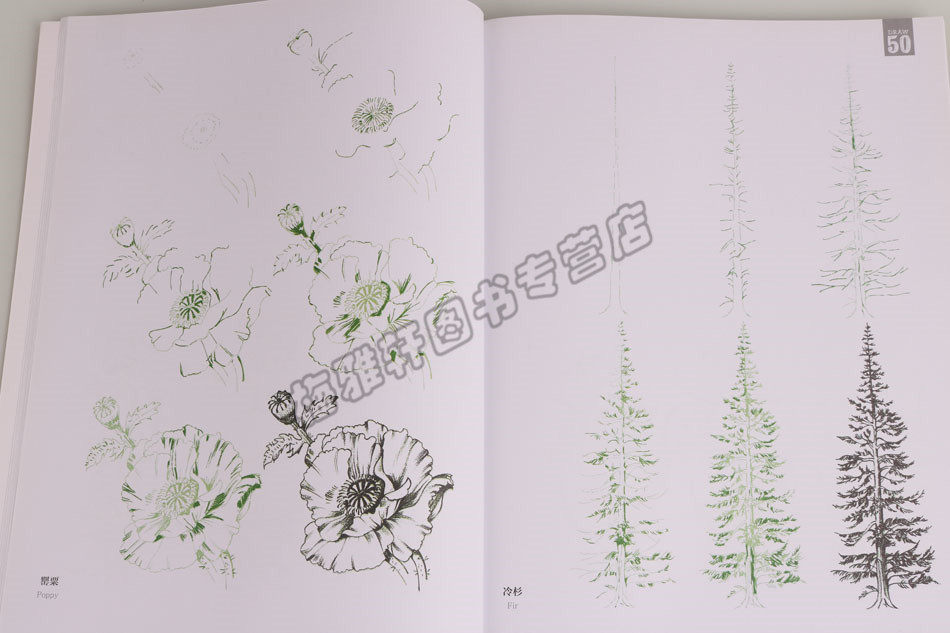 正版 简笔画4册DRAW50超简单大师教你画花花画建筑画车车画动物 大师简笔画手稿构图线描素描绘画技法技巧教程艺术零基础自学图书