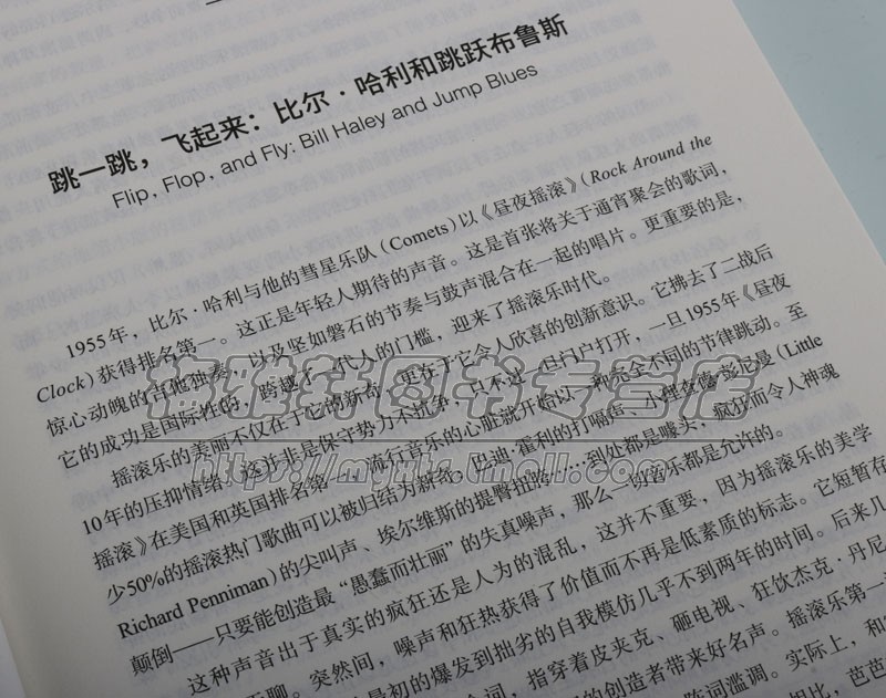 流行音乐故事从比尔哈利到碧昂丝音乐人记者鲍勃斯坦利介绍重要欧美西方世界音乐家著名男女歌手歌星历史资料流派人物事件知识书籍 - 图3