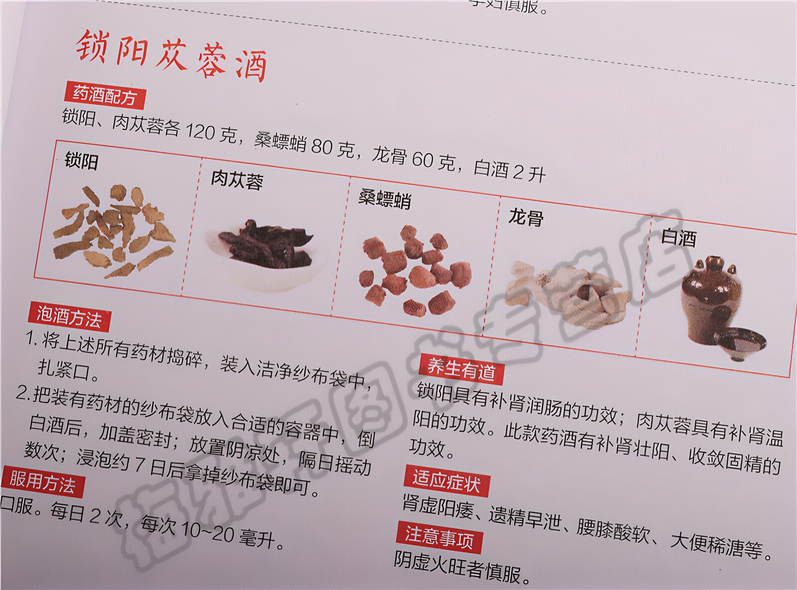 正版泡酒大全滋阴补肾壮阳酒男性女士中老年人风湿养护肝肾虚助勃生固精保健中医草药材泡制秘配方制法药酒对症养生速查全书籍