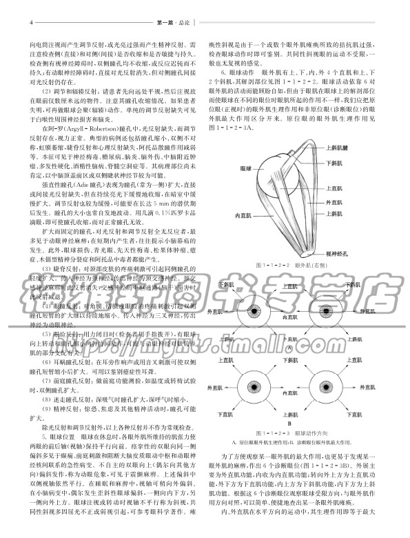 临床神经病精神病学实用神经病学分子生物神经免疫神经谱系病技术理论基础研究神经系统疾病诊疗技术症状发病机制表现治疗预防书籍
