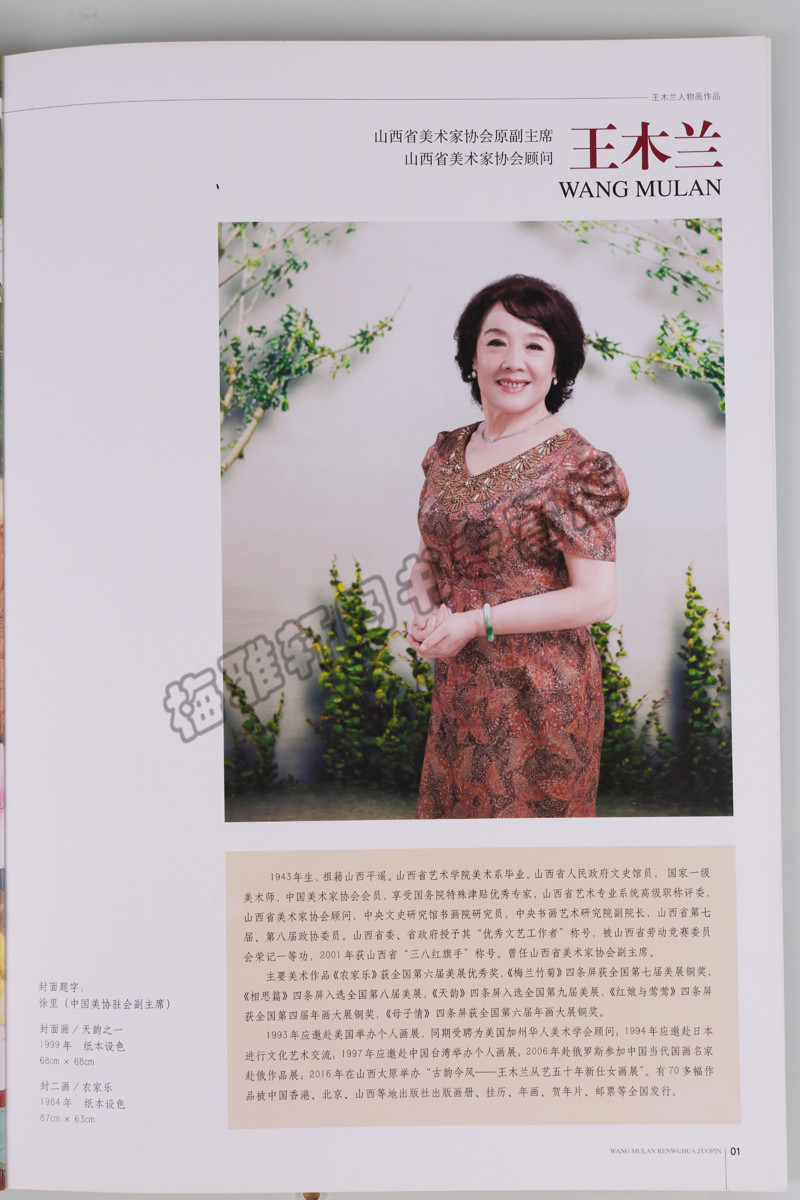 正版 美术视野 人物画部分中国各省市自治区美协主席副主席作品精选(共11册)王木兰李伟刘江梁文博王新伦徐永生康书增崔景哲图书