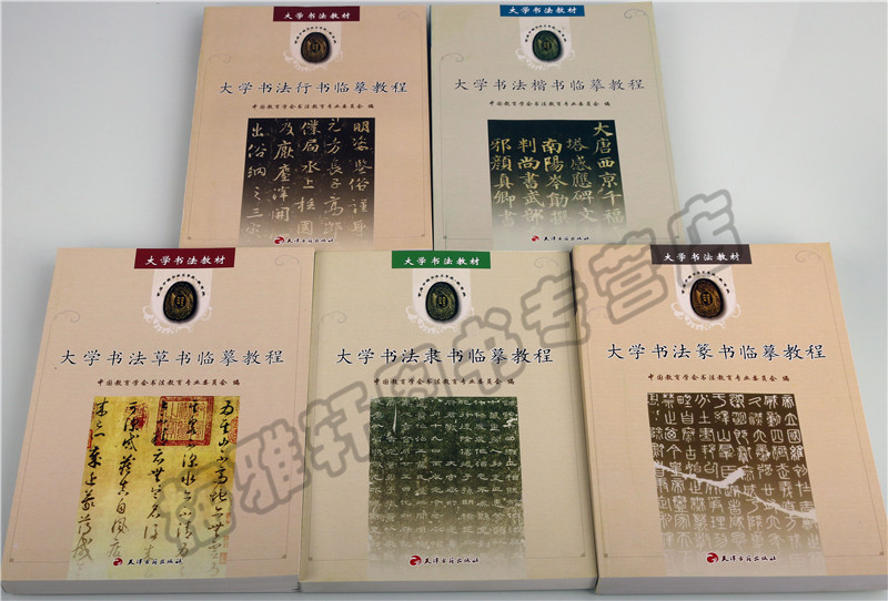 正版中国书法临摹教程毛笔软笔楷书隶书篆书草书行书临摹临习基础入门教材书法研究知识大学书法专业书法篆刻书籍-图0