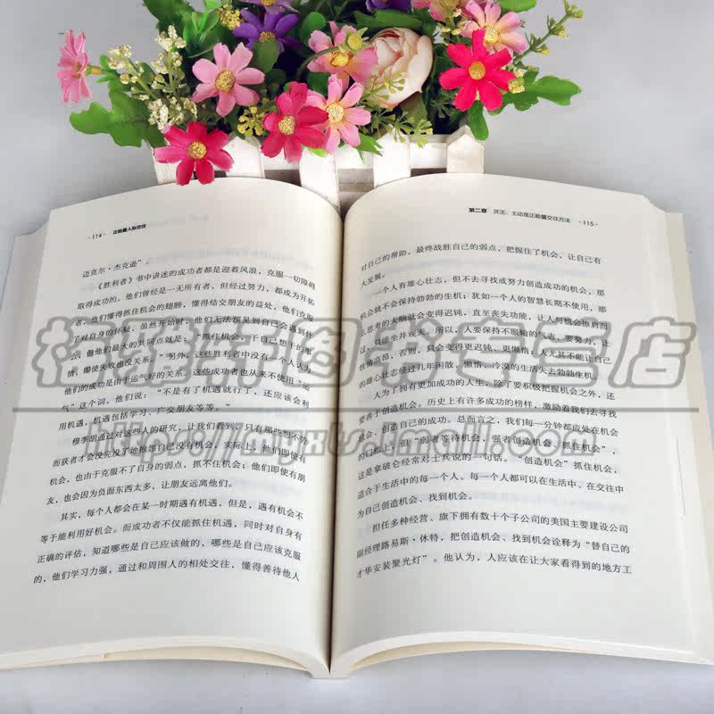 正版 正能量人际交往 做朋友圈里的正能量传播者 受欢迎的社交达人 都是充满正能量的人 让你轻松应对各种难题社交成功励志图书