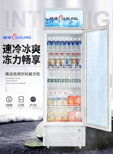 穗凌LG4-202L/239升冰柜单门立式冷藏柜保鲜柜展示柜啤酒柜饮料柜 - 图0
