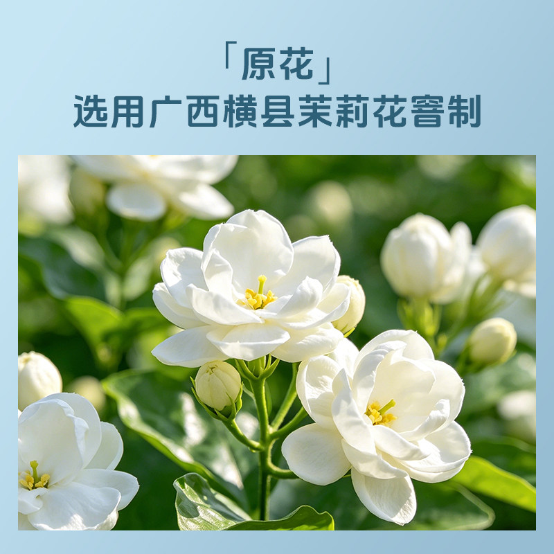 祥源茶 祁门红茶特三级正宗工夫红茶叶浓香型70g安徽原产地