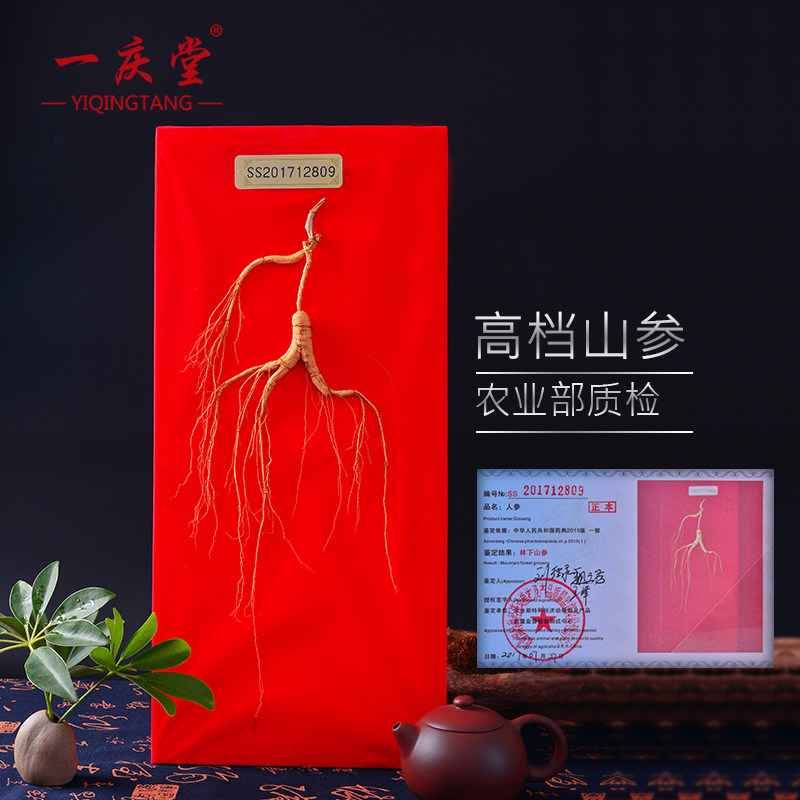  一庆堂山参
