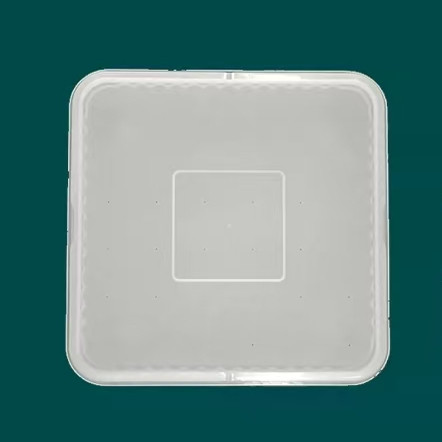 酵乐宝纳豆机天贝日本米曲腊八豆豆豉毛豆腐双面打孔发酵容器1个,淘宝优惠券,粉丝福利购,淘宝优惠卷