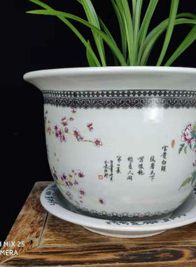 包邮景德镇陶瓷器超大号花钵落地树盆花盆铁树送接水盘粉彩花开富