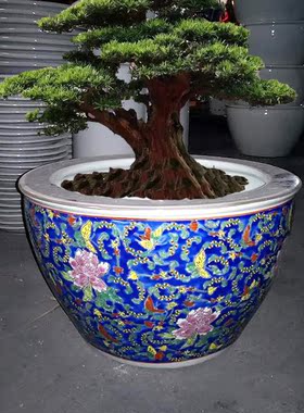 高档景德镇高温瓷手绘多色花盆