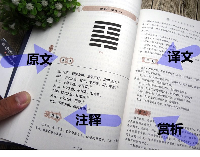 易经全书正版图解版易经书籍原文译文可以读懂的易经全书_虎窝淘