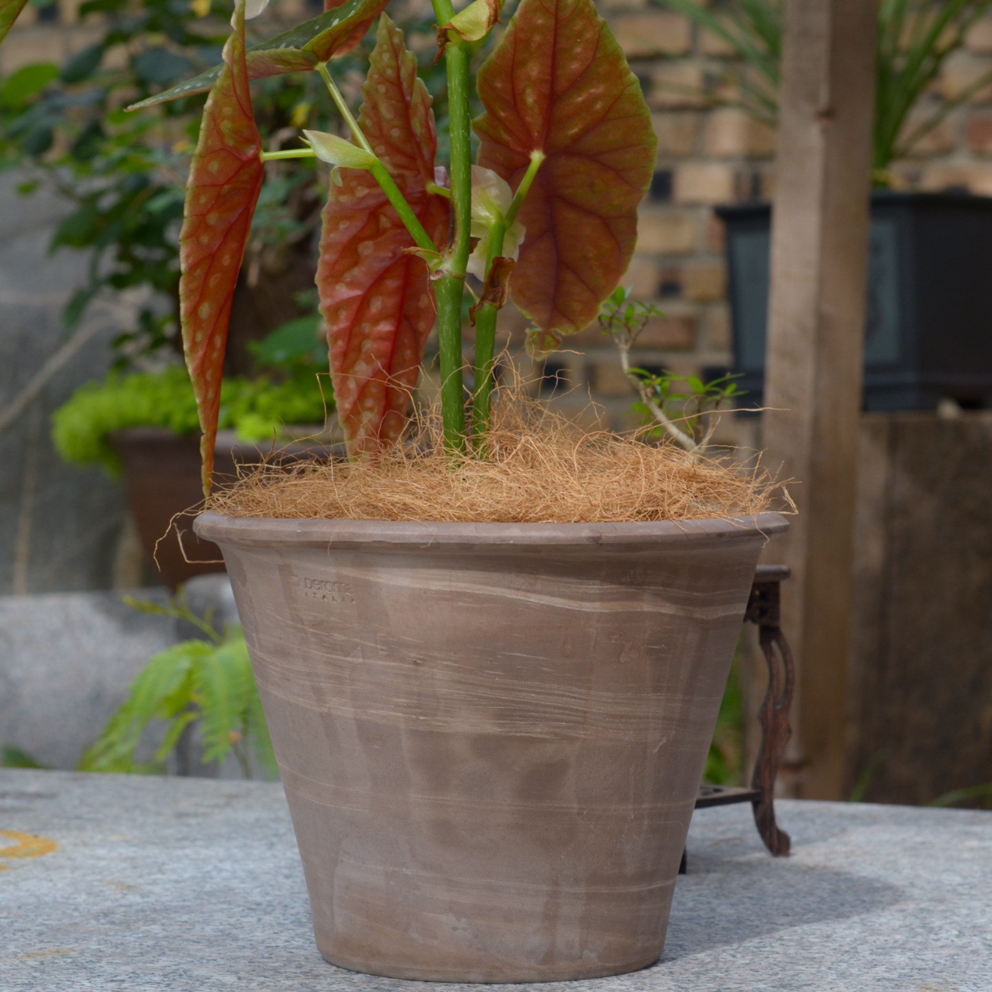 花盆表面土壤覆盖物铺面装饰椰丝绿植盆栽遮丑椰棕丝种花铺面椰丝,淘宝优惠券,粉丝福利购,淘宝优惠卷