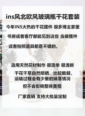 ins北欧风干花桌面摆件拍照摄影