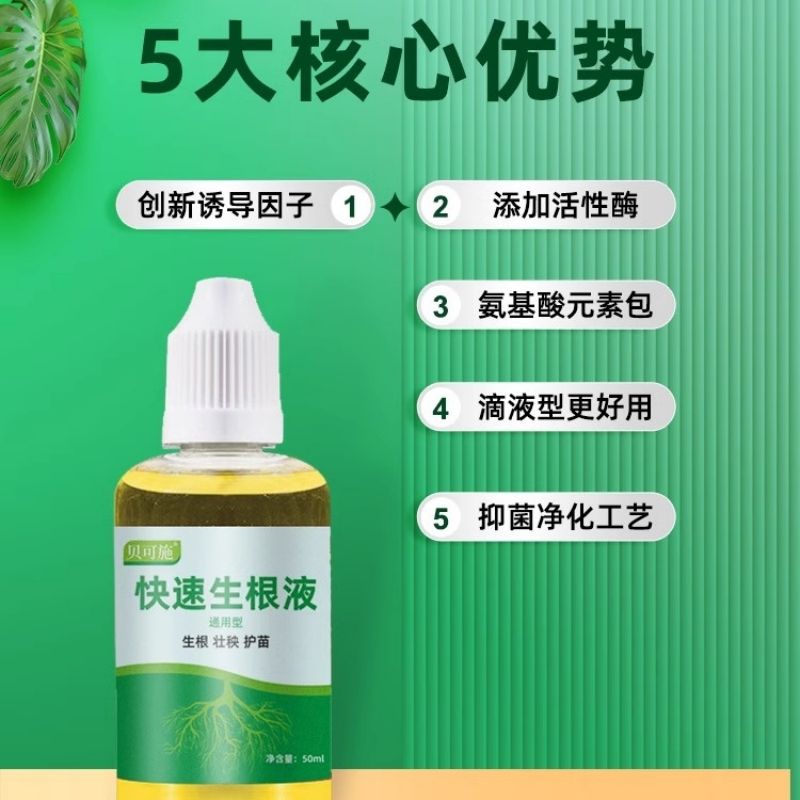 植物快速生根液壮苗剂扦插育苗水培移栽通用营养液生根壮秧护苗 - 图1