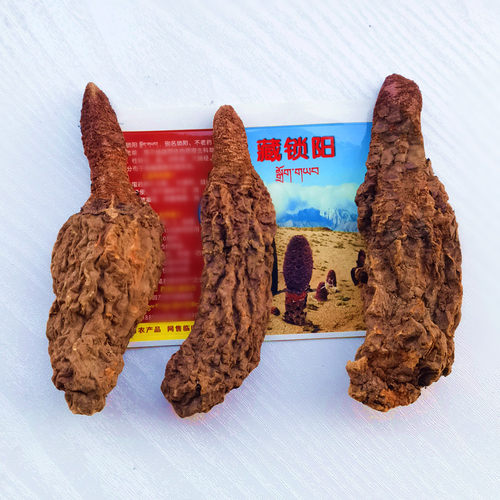 锁阳500g青藏高原野外不老草宜配生肉苁蓉男女性泡酒药可磨粉切片 - 图1