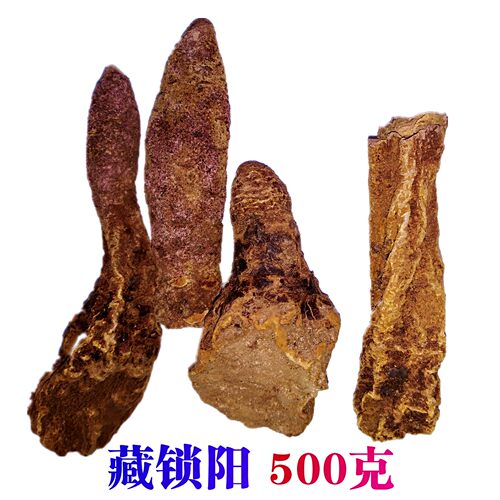 锁阳500g青藏高原野外不老草宜配生肉苁蓉男女性泡酒药可磨粉切片 - 图0