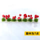 Square inch scene model miniature simulated dried flowers