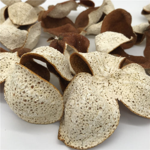 直播间用新会陈皮二红皮柑普茶小青柑小柑胎云南普洱茶熟茶订金用 - 图1