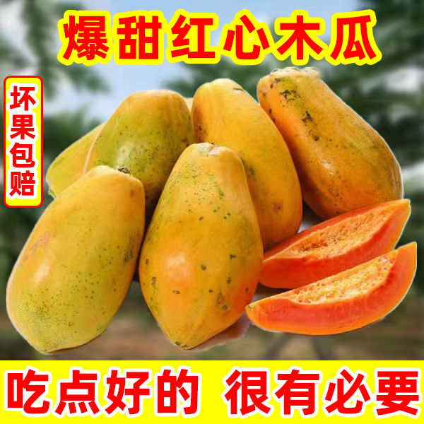 木瓜苗 新人首单立减十元 22年7月 淘宝海外