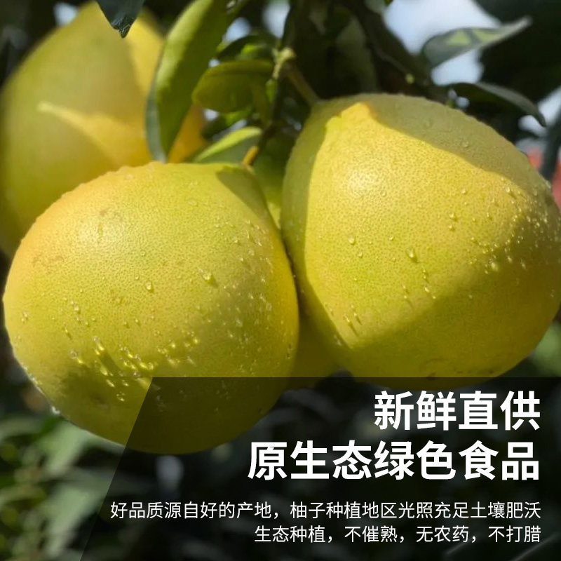 红心柚子红肉蜜柚新鲜柚子水果新鲜应季时令现摘红心蜜柚泰国 - 图2