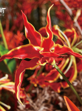 鲲屿新中式大型圆桌仿真花艺摆件