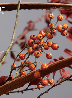 鲲屿中式禅意插花仿真花摆件