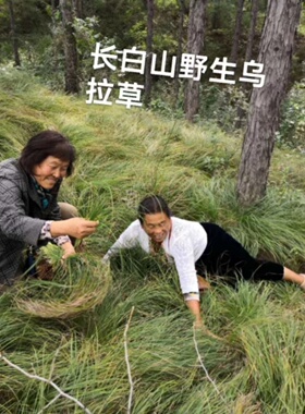 靰鞡草断条碎草。没有垃圾可做填充抱枕，枕头，坐垫