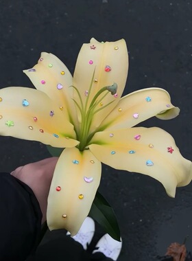 钻石聚会百合手工diy鲜花钻石贴纸贴钻彩色钻石宝石贴花店装饰品