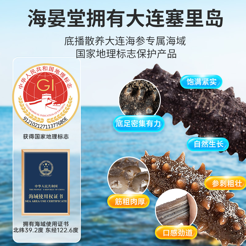 海晏堂95%固形物冷蒸即食海参1200g冷冻大连鲜食礼品端午节辽刺参-图2