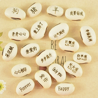 Семена аварийного магического боба бонсай четыре сезона сажают семена творческие маленькие популярные растения мини -растения