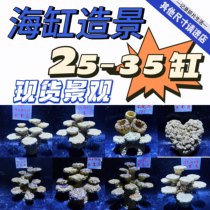 (other sizes please enter the shop) Special spot sea-cylinder-made view artificial stone dead stone coral stone build-free algae