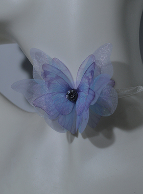 新中式舞蹈森系中国风丝带立体蝴蝶项链绳锁骨链复古设计感脖颈带