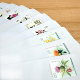 Various stamp envelopes available for mailing