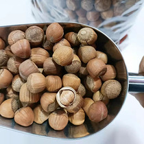 New stock Northeast wild hazelnut original flavor cooked dried fruit iron Range Terrific nut pregnant woman with zero food opening fried bulk grain